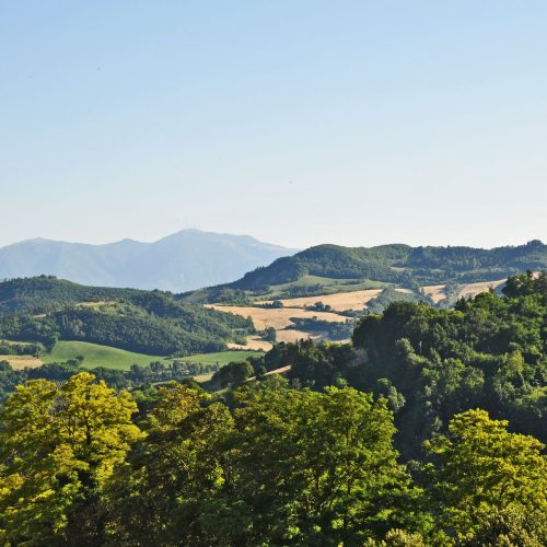 tavernetta-bg